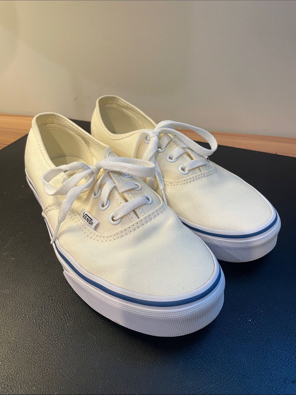 Vans Authentic Skate Shoes